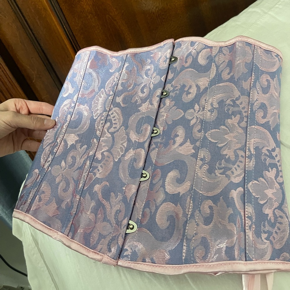 Blue and Pink Corset